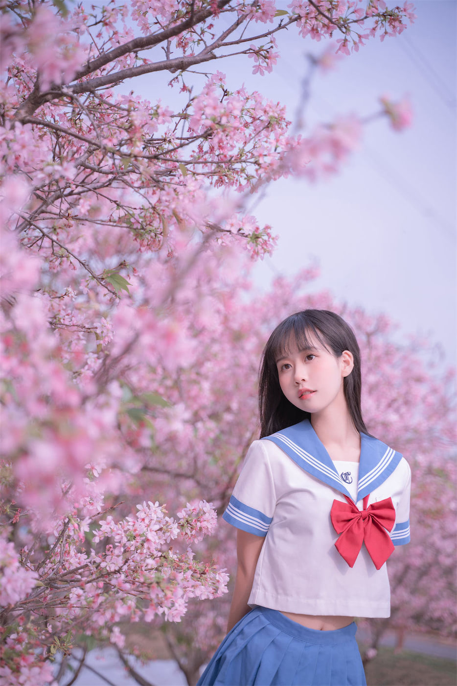 萌芽儿o0林中少女樱花jk3